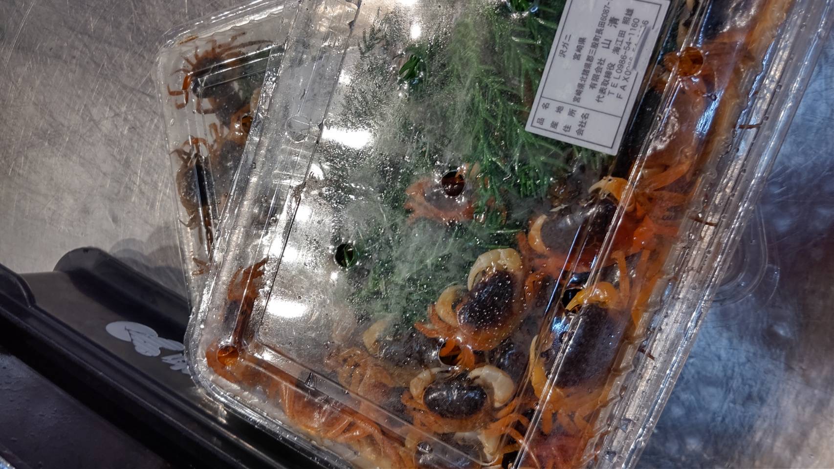 新着情報 8ページ目 水産物の仕入れなら横浜の株式会社貝宝
